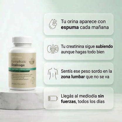 Tratamiento Riñones — Orina Espumosa y Creatinina Alta | Sculptique™