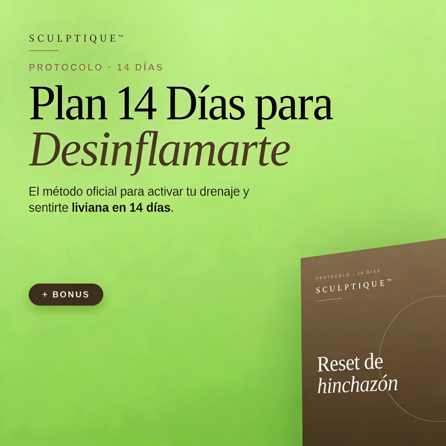 Plan de 14 Días para empezar a Desinflamarte - sculptique